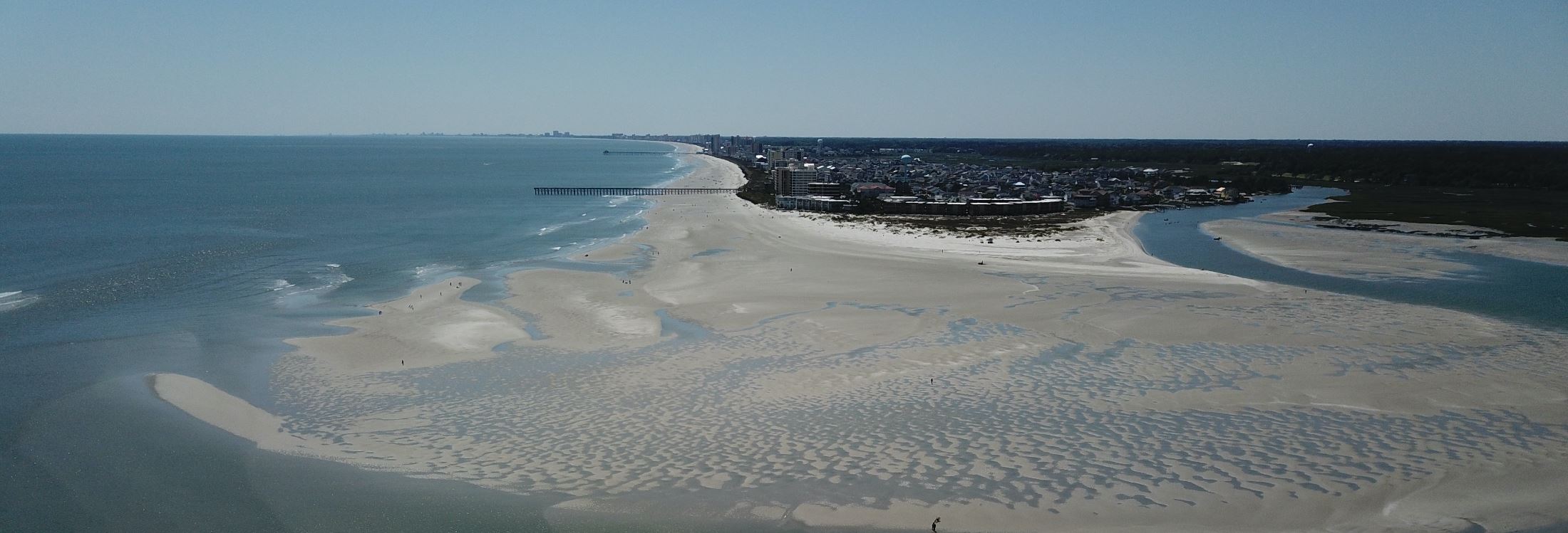 Are Dogs Allowed On The Beach In Myrtle Beach