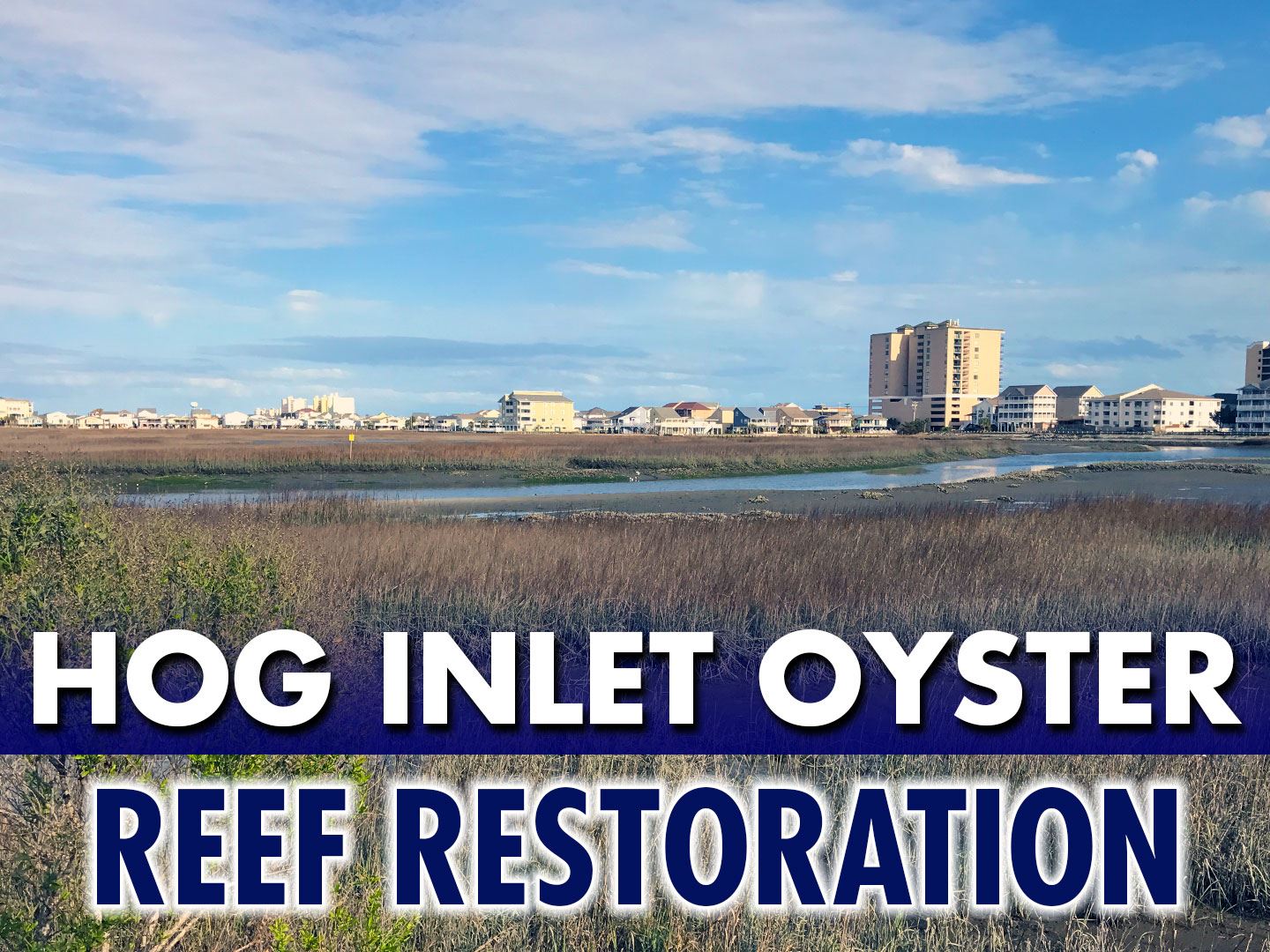 Hog-inlet-oyster-reef