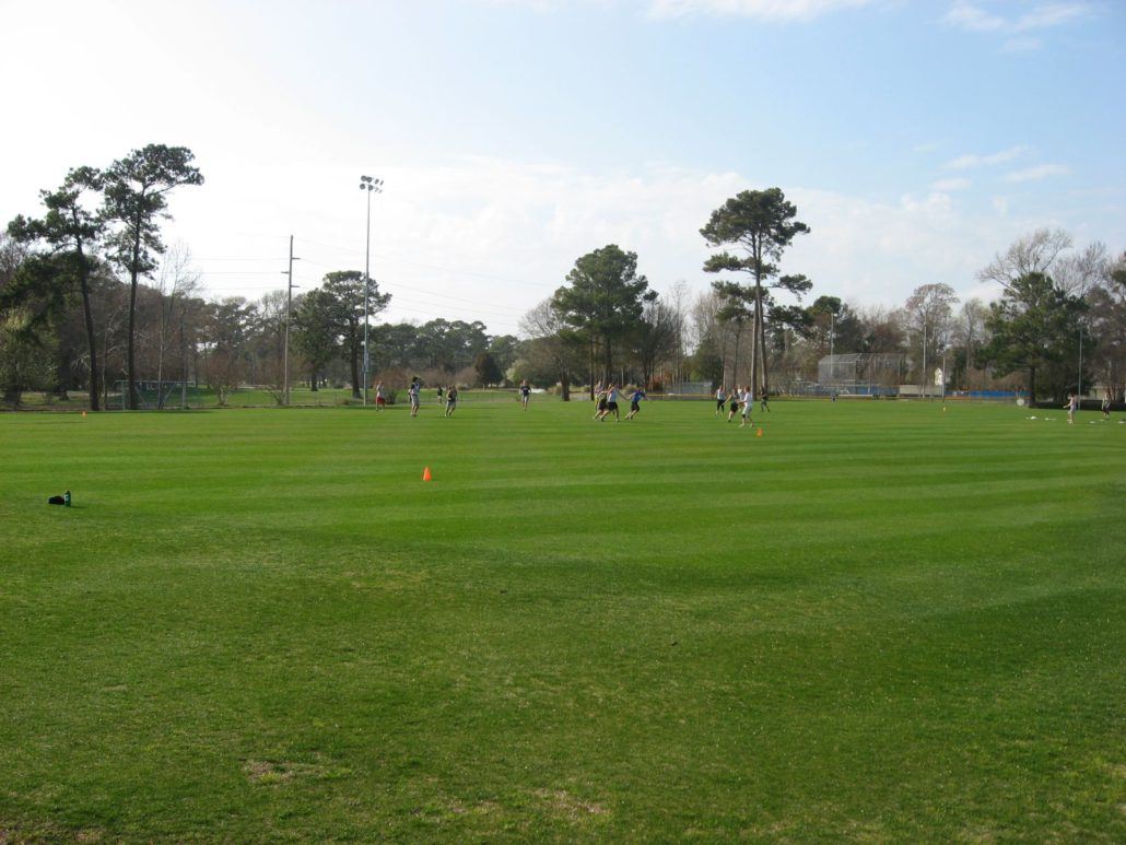Large Group Playing on a Grassy Field