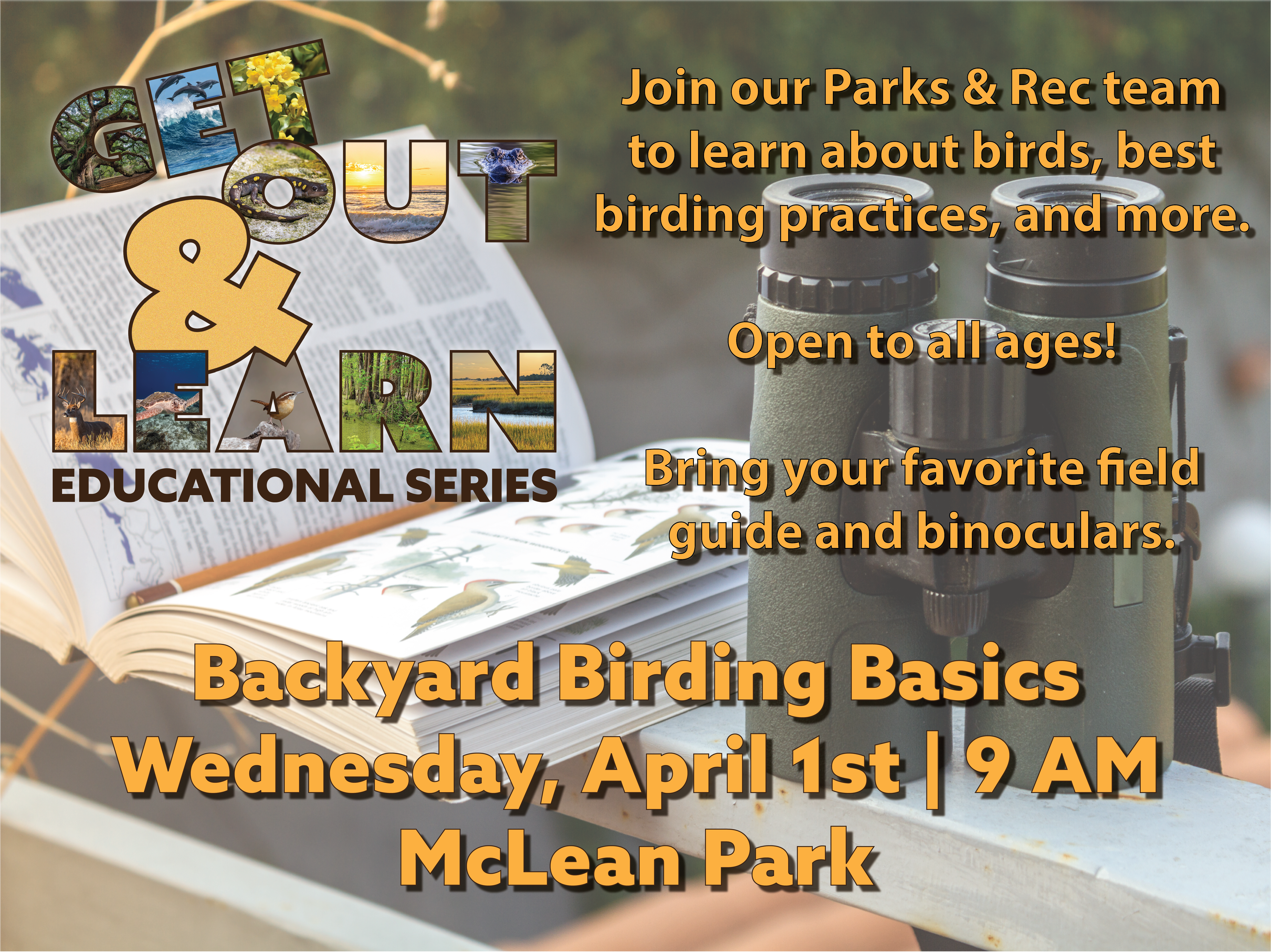 Backyard Birding Basics Orange Font